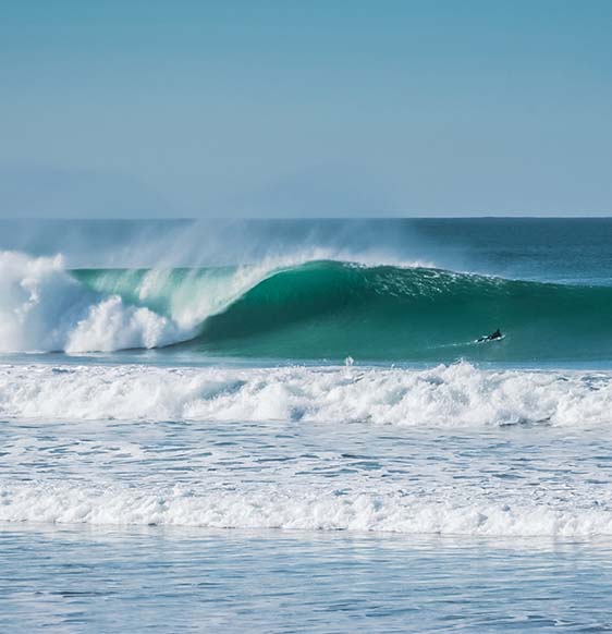 Guía de surf